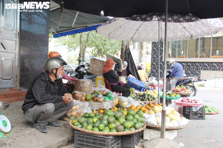 Đắt hàng mùa dịch, giá cam quýt 'nhảy múa' 